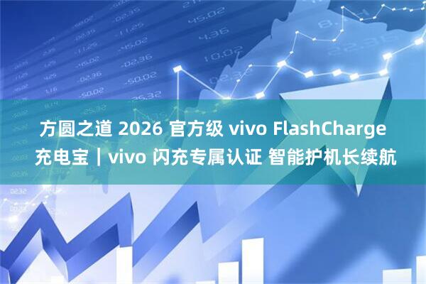 方圆之道 2026 官方级 vivo FlashCharge 充电宝｜vivo 闪充专属认证 智能护机长续航