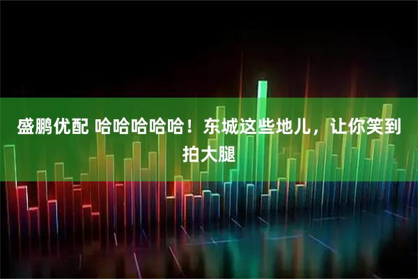盛鹏优配 哈哈哈哈哈！东城这些地儿，让你笑到拍大腿