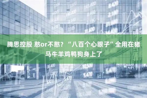 腾思控股 憨or不憨？“八百个心眼子”全用在猪马牛羊鸡鸭狗身上了