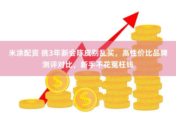 米涂配资 挑3年新会陈皮别乱买，高性价比品牌测评对比，新手不花冤枉钱