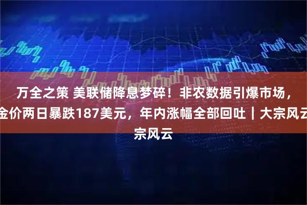 万全之策 美联储降息梦碎！非农数据引爆市场，金价两日暴跌187美元，年内涨幅全部回吐｜大宗风云