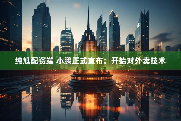纯旭配资端 小鹏正式宣布：开始对外卖技术